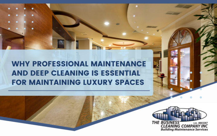 Why Professional Maintenance and Deep Cleaning is Essential for Maintaining Luxury Spaces
