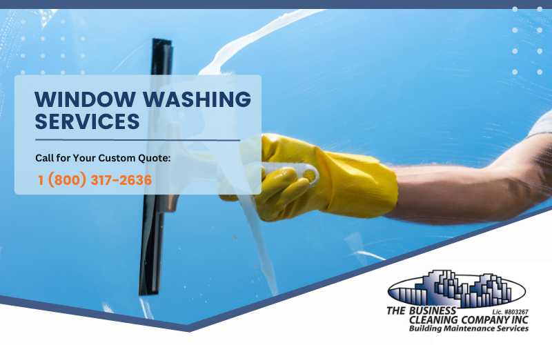 window washing services
